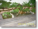 ground deck61.JPG
